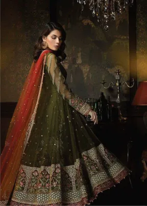 Beautiful dress in chiffon by Ayra in mehndi green and color Model # C 1134