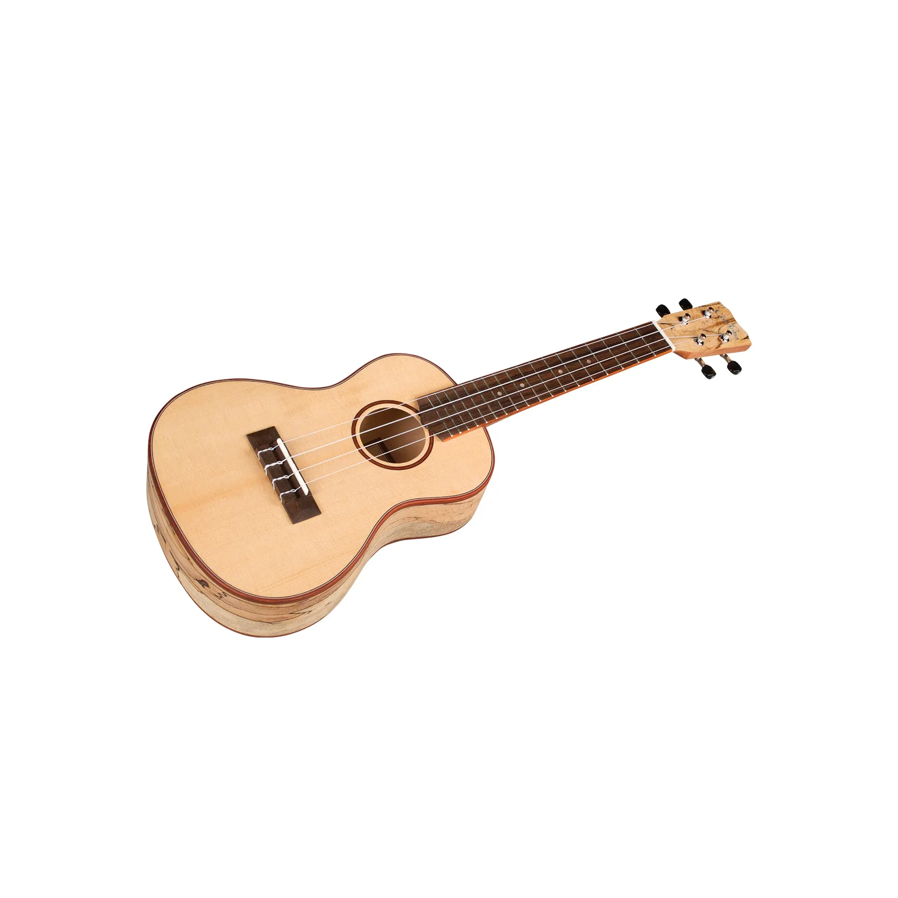 Cordoba 24C Concert Ukulele