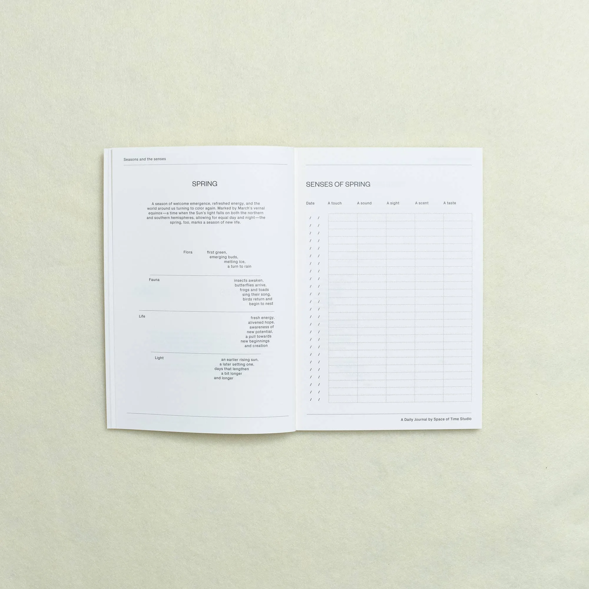 Daily Reflection Journal