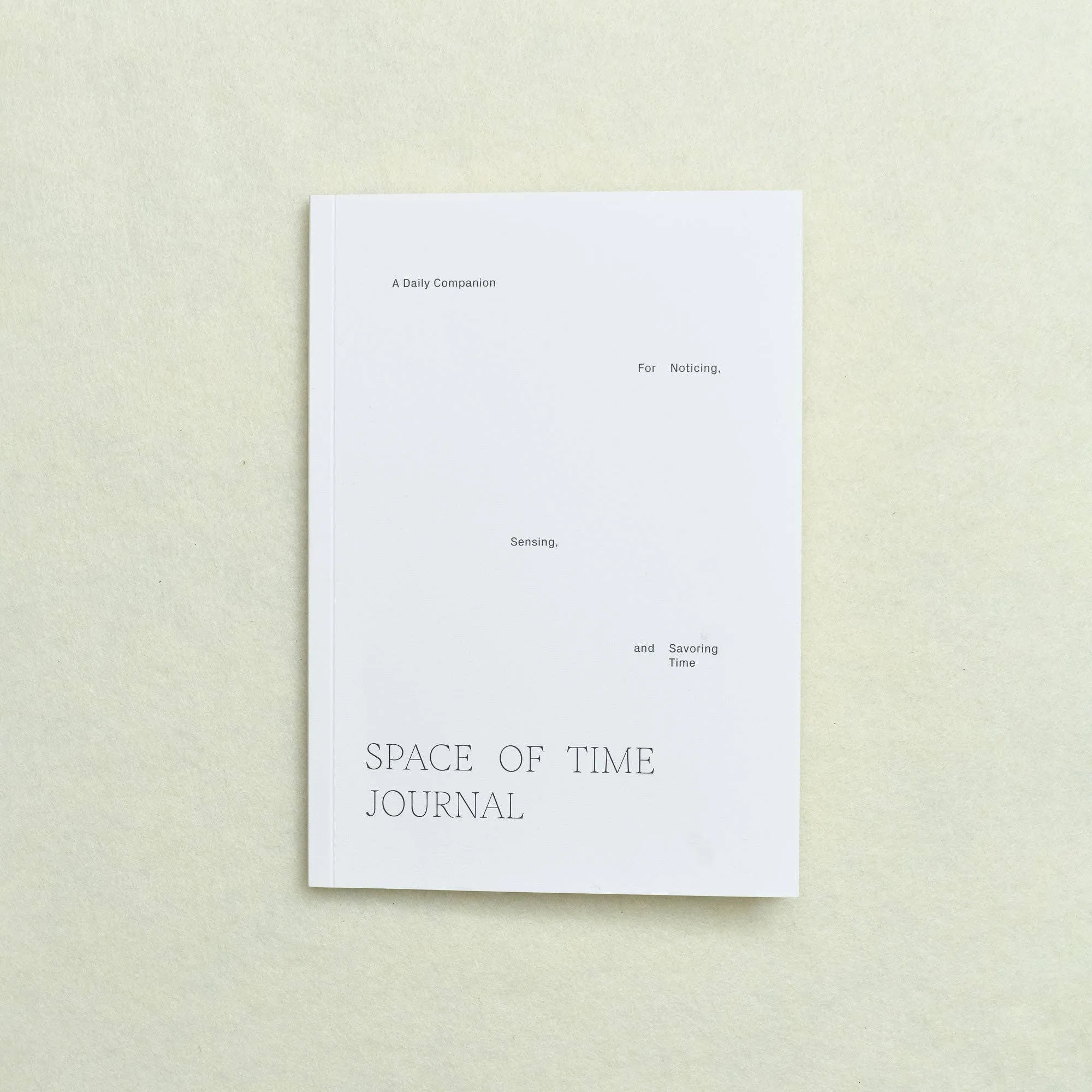 Daily Reflection Journal