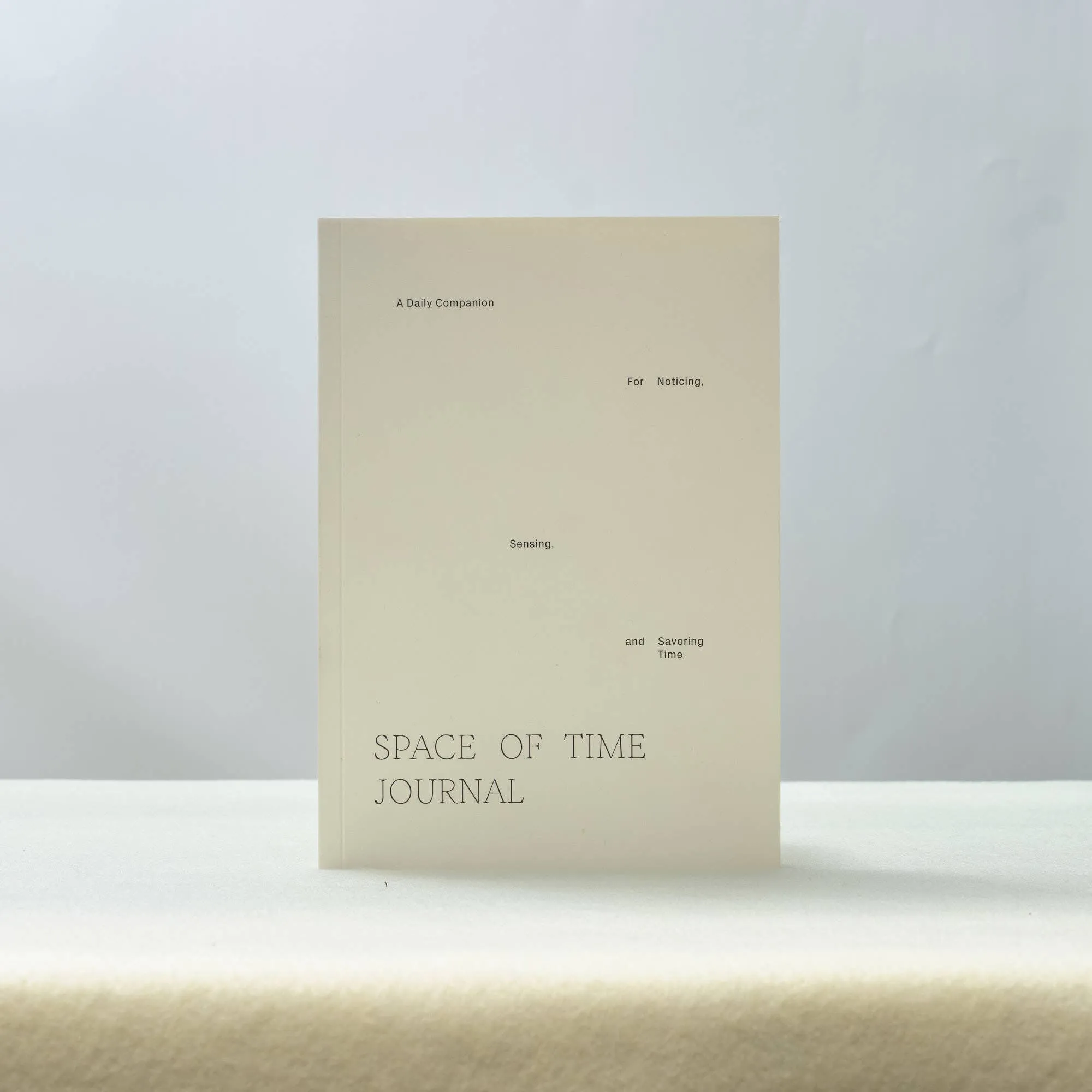 Daily Reflection Journal