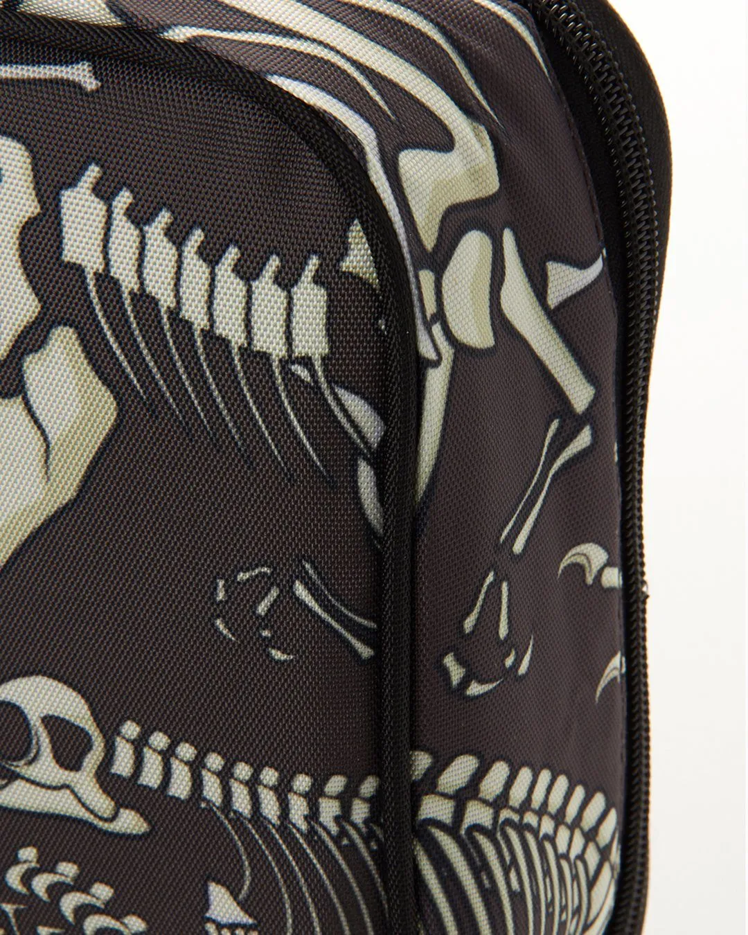 DINO BONES LUNCHBOX
