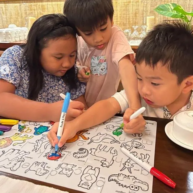Doodle & Play Reusable Coloring Mats and Pens