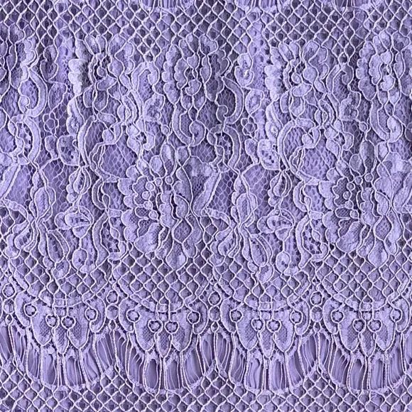 Eliza J Lilac Lace Sheath Dress Size 6