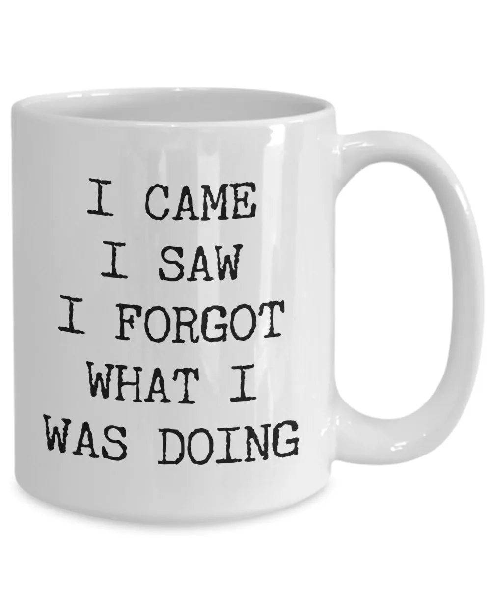 I Came I Saw I Forgot What I Was Doing Mug Funny Coffee Cup