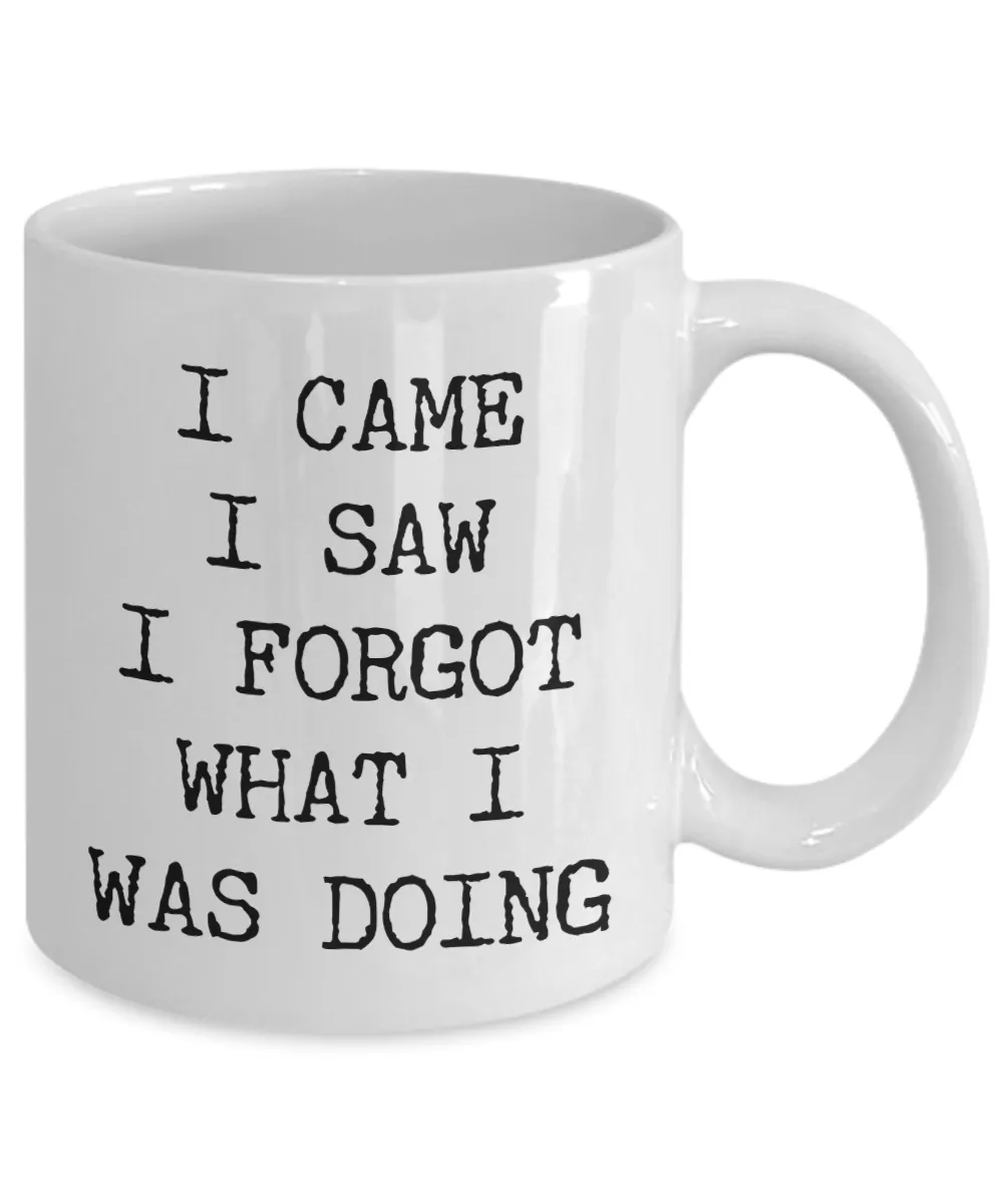 I Came I Saw I Forgot What I Was Doing Mug Funny Coffee Cup