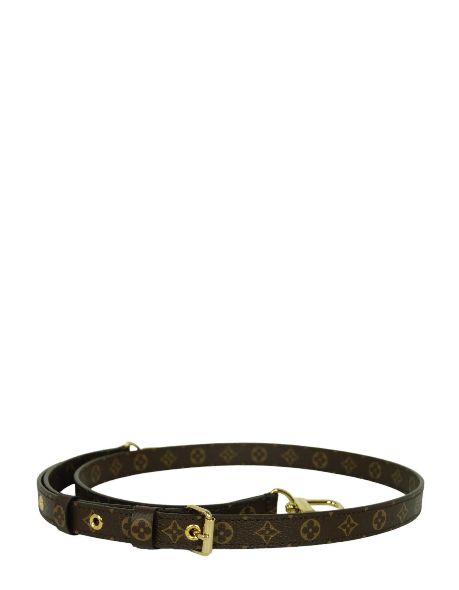 Louis Vuitton Monogram Bandouliere Strap