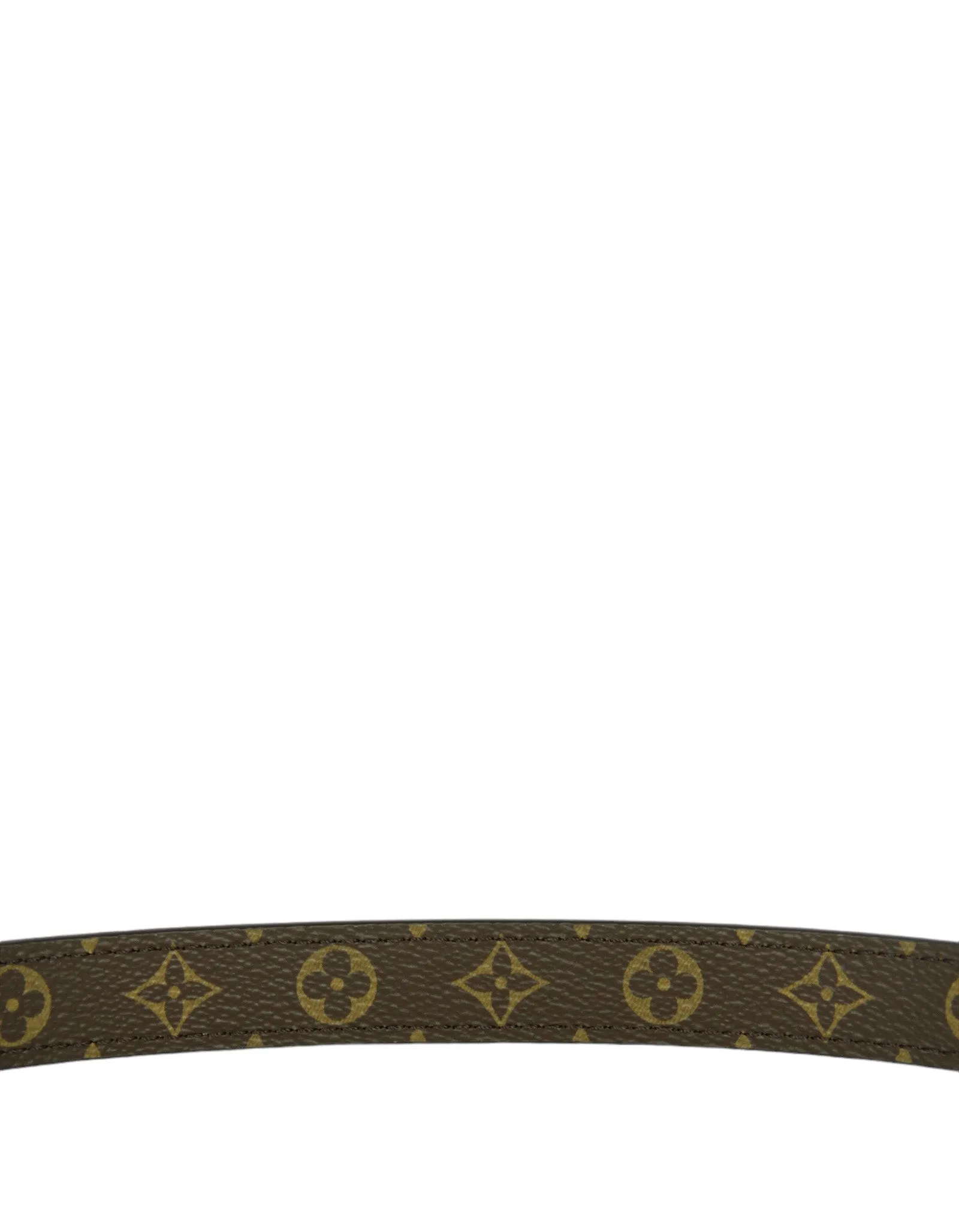 Louis Vuitton Monogram Bandouliere Strap