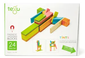 Magnetic Blocks 24  Piece - Tints