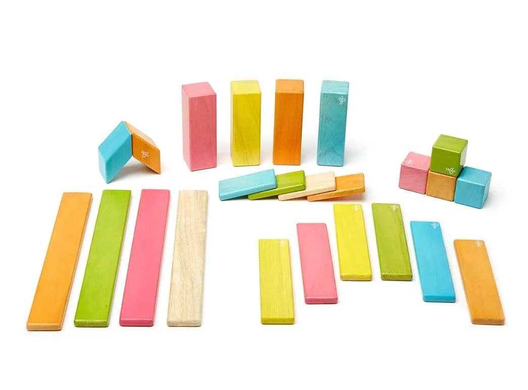 Magnetic Blocks 24  Piece - Tints