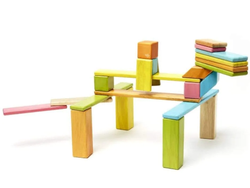 Magnetic Blocks 24  Piece - Tints