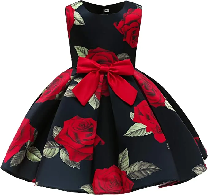 New Chamie Girl Dress for Birthday Wedding Party Special Occasion, Sz 3T