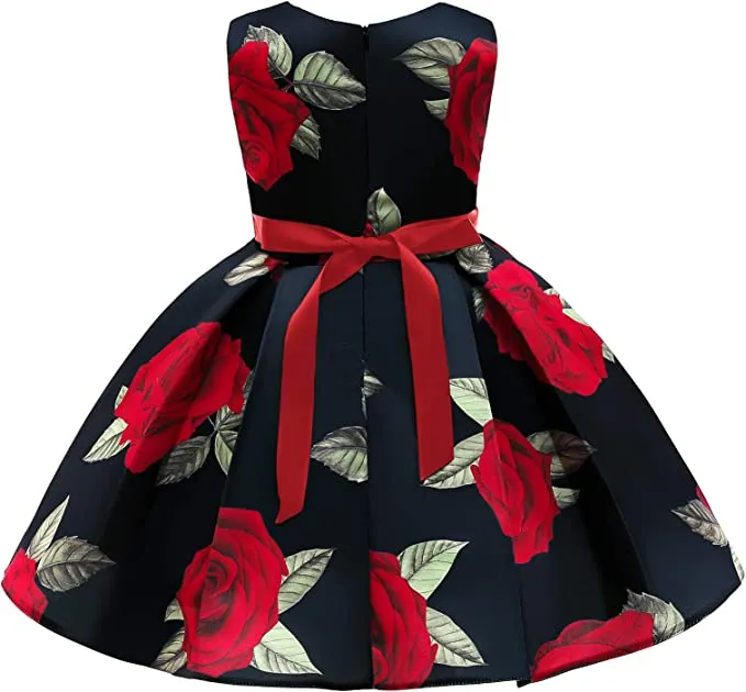 New Chamie Girl Dress for Birthday Wedding Party Special Occasion, Sz 3T