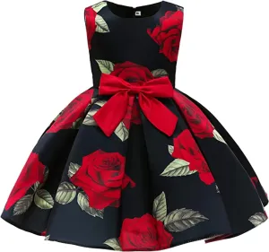 New Chamie Girl Dress for Birthday Wedding Party Special Occasion, Sz 3T