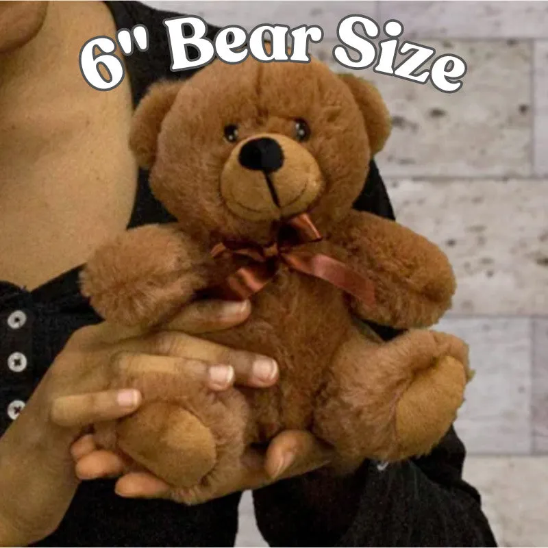 Our First Valentine's Day Together Teddy Bear with Message Card -PRICE INCLUDES FREE SHIPPING!!