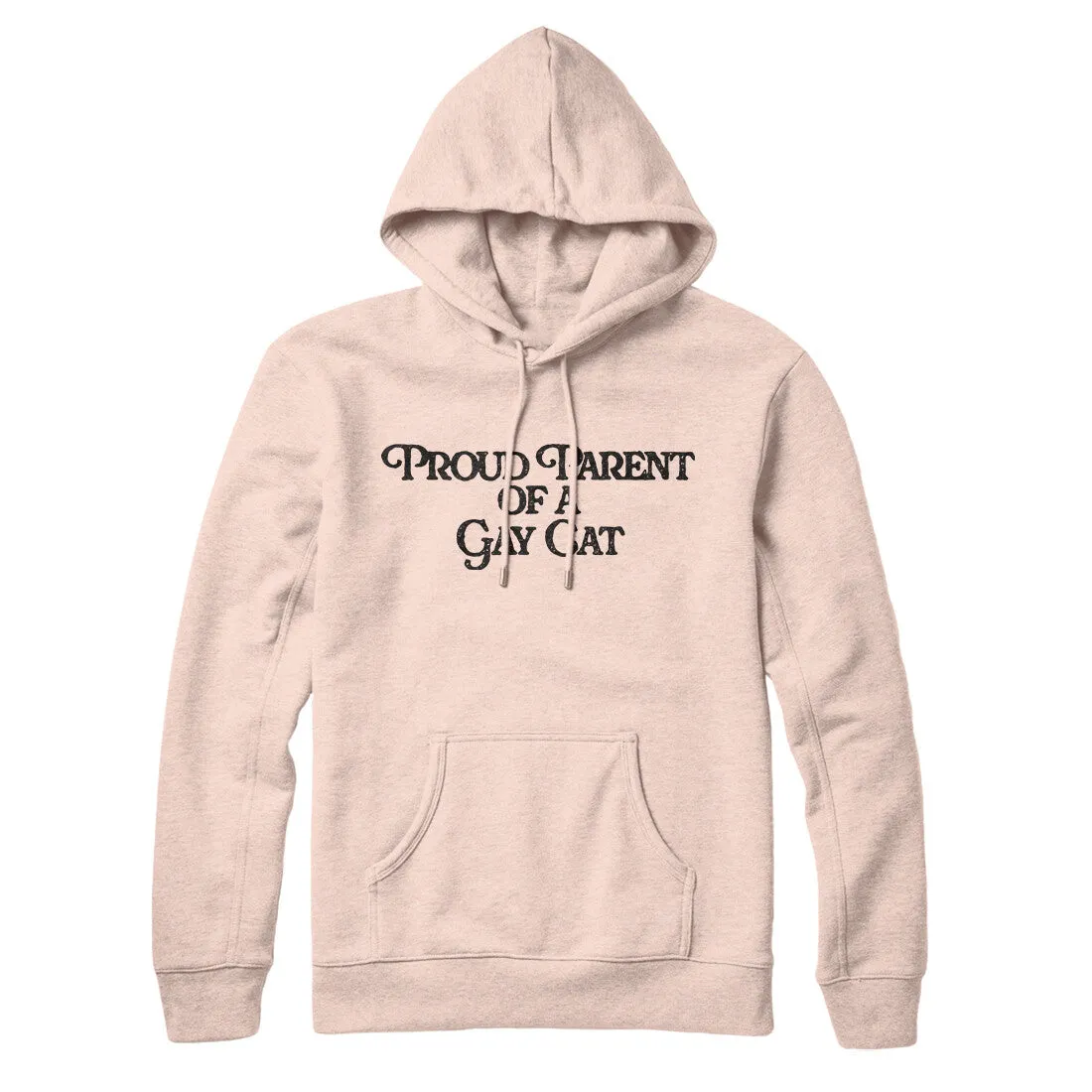 Proud Parent Of A Gay Cat Hoodie