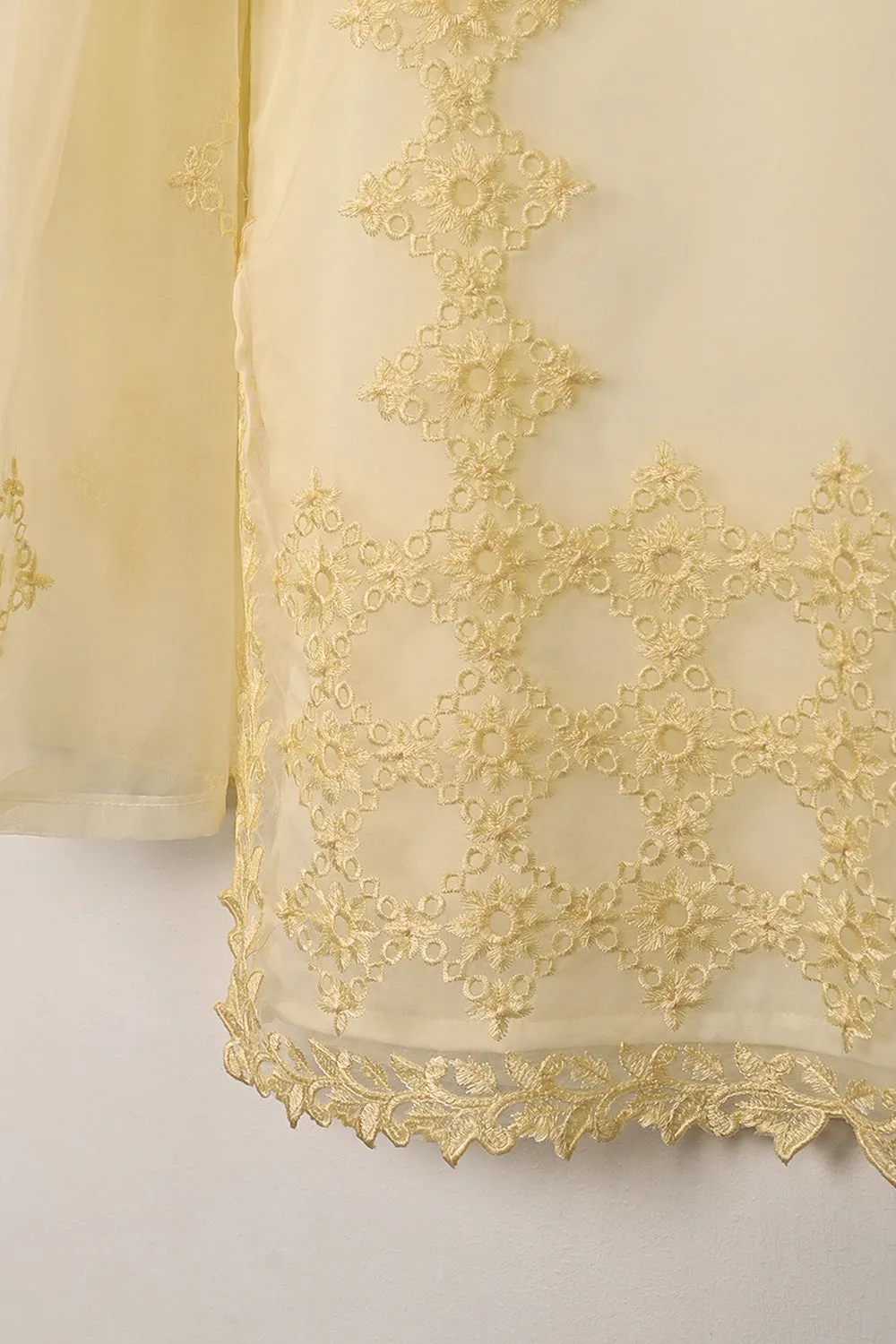 RTW-294-Cream - 3Pc Ready to Wear Cut Work Embroidered Organza Dress