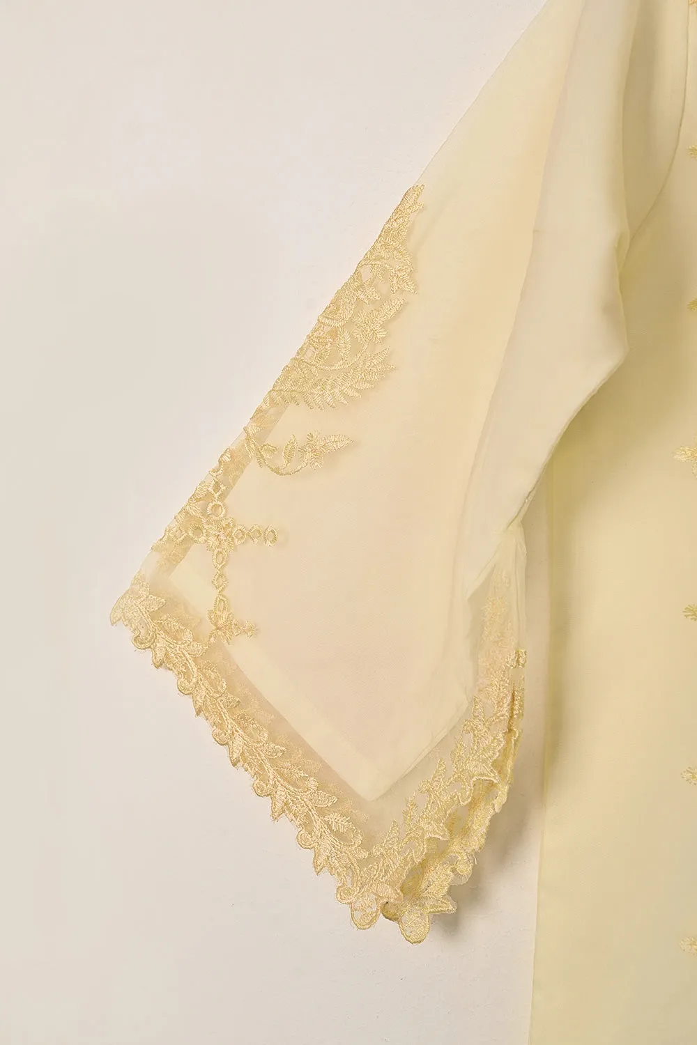 RTW-294-Cream - 3Pc Ready to Wear Cut Work Embroidered Organza Dress