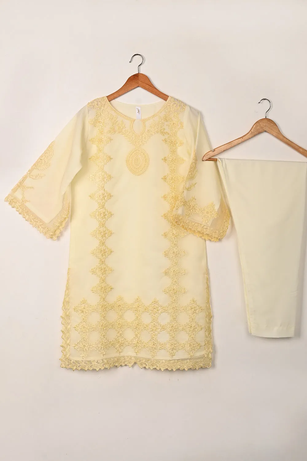 RTW-294-Cream - 3Pc Ready to Wear Cut Work Embroidered Organza Dress