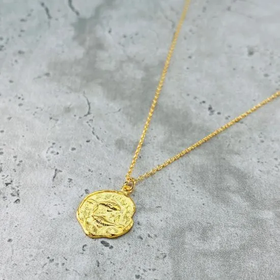 Star Sign Coin Necklace - Pisces