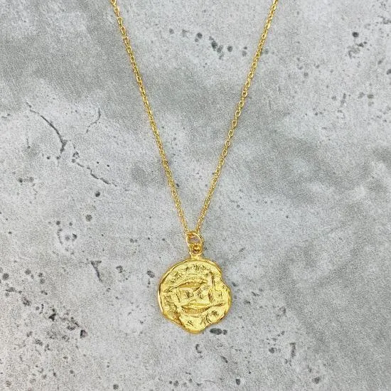 Star Sign Coin Necklace - Pisces