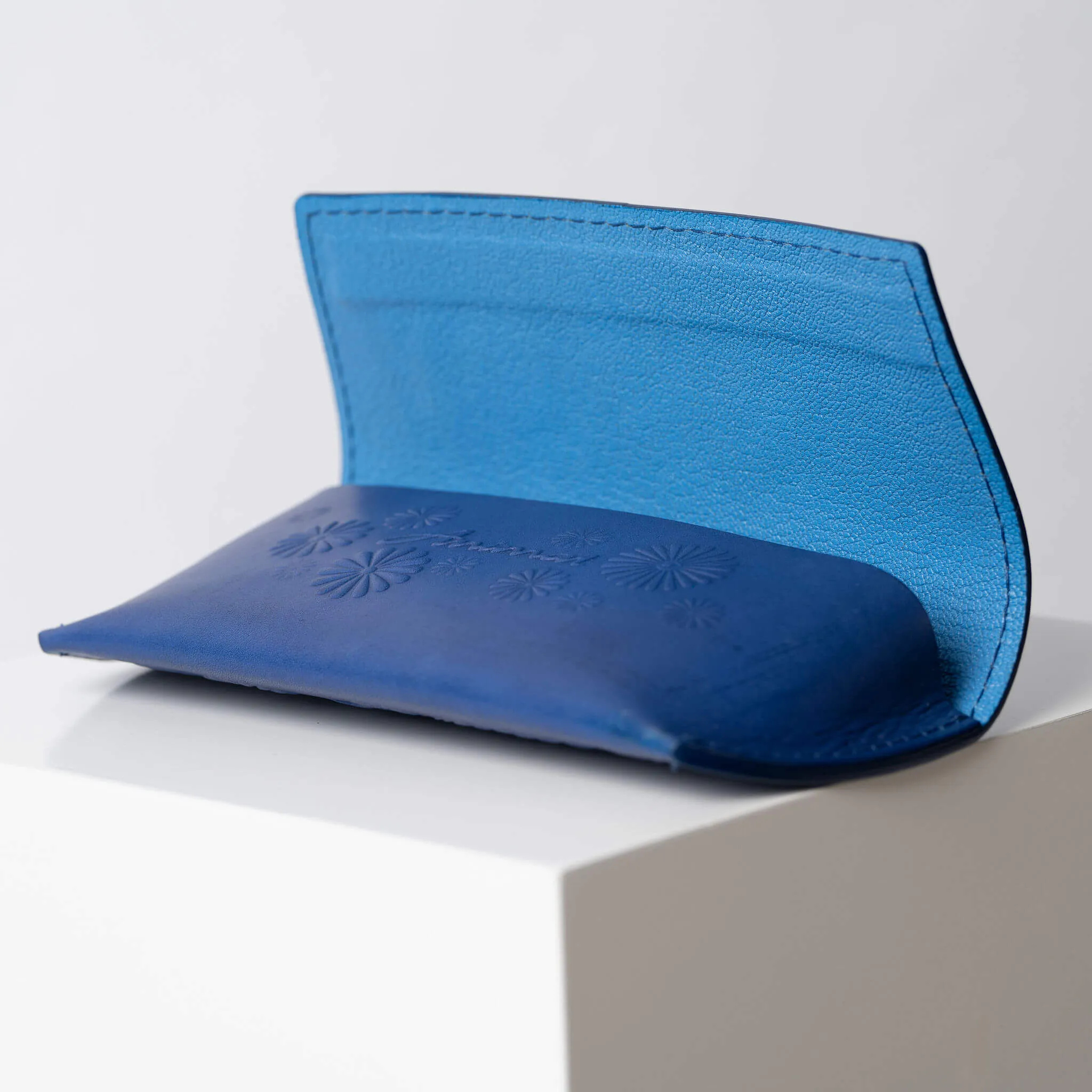 The Eyeglass Case