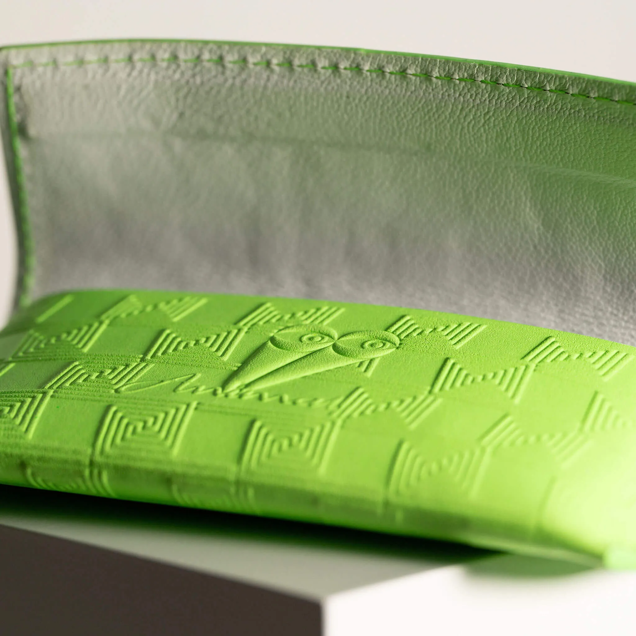 The Eyeglass Case