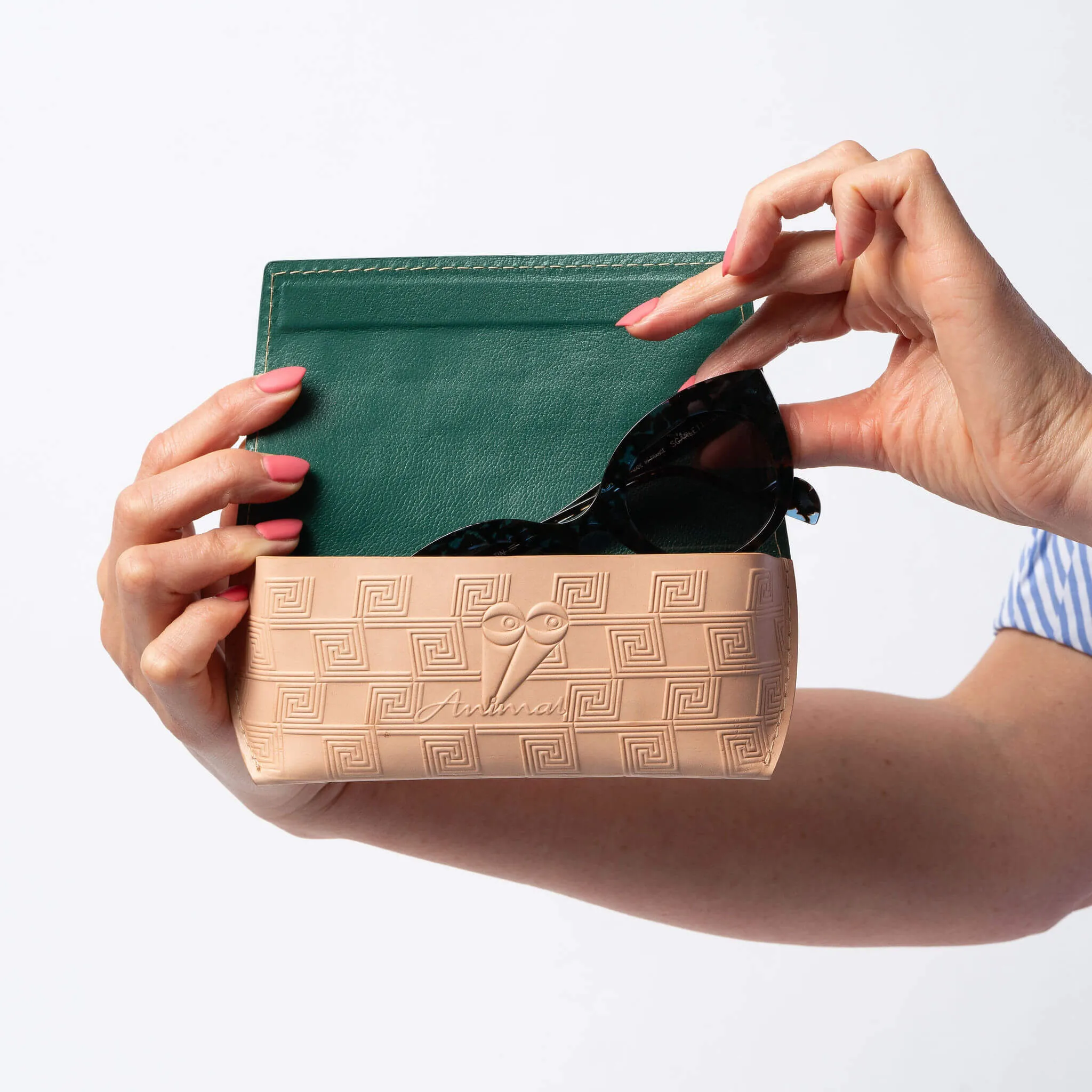 The Eyeglass Case